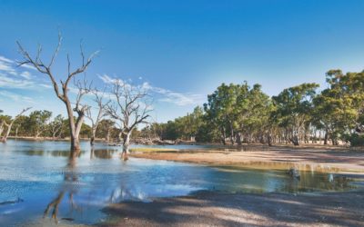 Walking the Moon – An Australian Pilgrimage