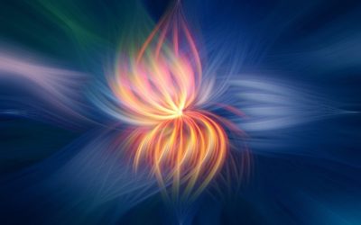 Chaos, Contradictions, Karma and Connection